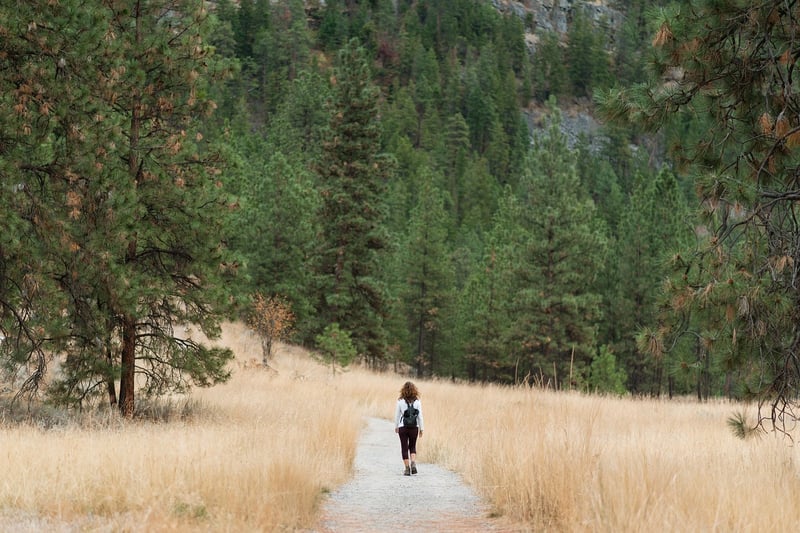 Nature Trail Meditation